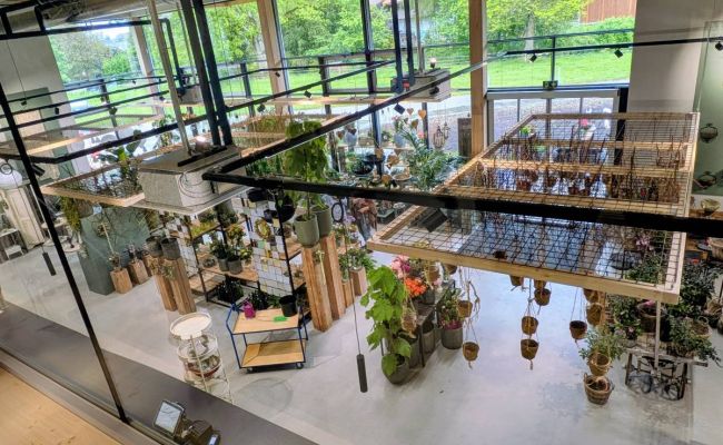 Image - Galerie