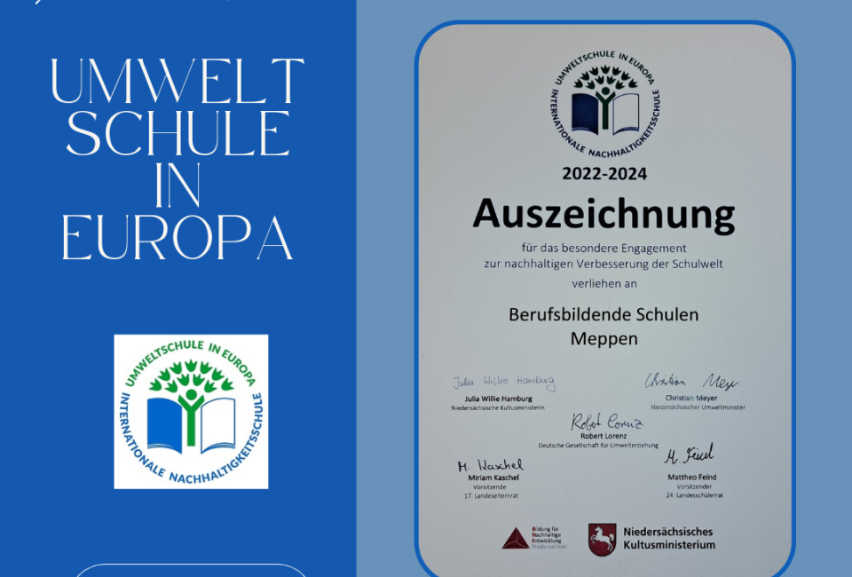 Image - Wir sind Internationale Nachhaltigkeitsschule / Umweltschule in Europa