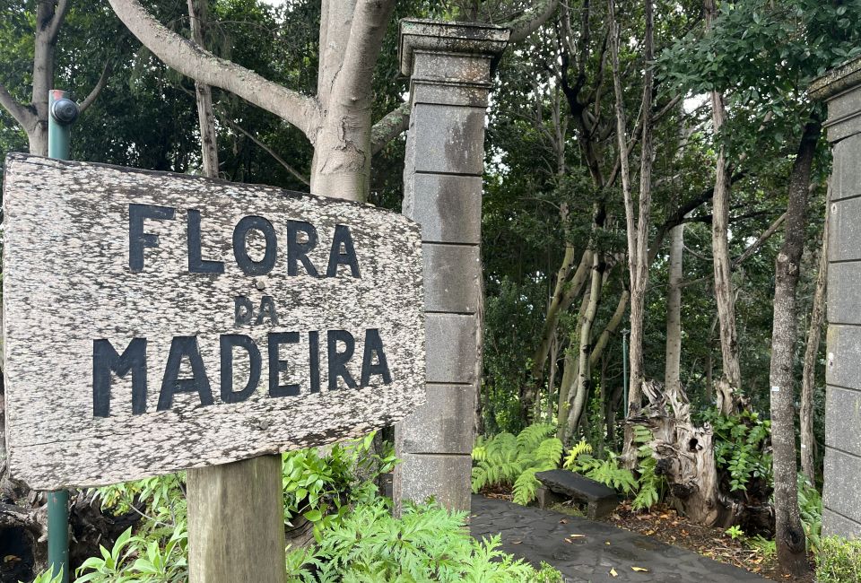 Image - JobShadowing auf Madeira