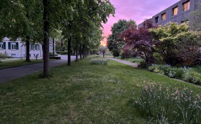 Image - Galerie